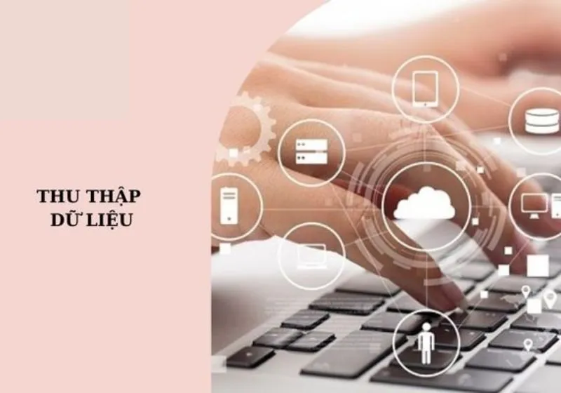 Chúng tôi thu thập gì từ bạn